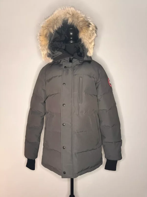 Premium Canada Goose winter down jacket.